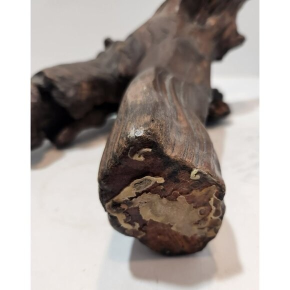 Vintage Petrified Wood Fossil Shaped Dinosaur Look? 11" by 10" by 6.5" - Picture 10 of 16